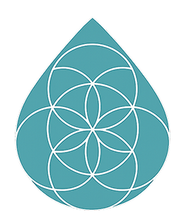 iMIZE
